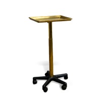 GOLD Color Metal Hair Coloring Tray & Perming Tray High Quality Materials