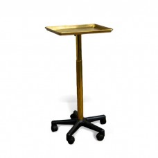 GOLD Color Metal Hair Coloring Tray & Perming Tray High Quality Materials