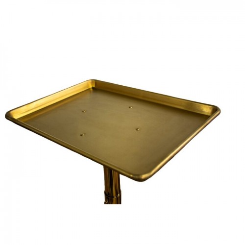 GOLD Color Metal Hair Coloring Tray & Perming Tray High Quality Materials