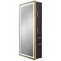 9220 Gold Frame LED Mirror Choose Laminate Color