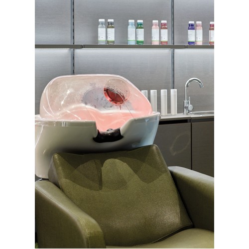 Eden INCREDIBLE Hair Washing Unit From Belvedere/Maletti