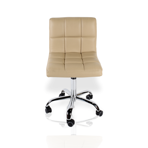 Pedicure Stool With Backrest In Many Colors 