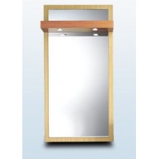 TAK-T4060 Metro Styling Mirror With Upper Lights