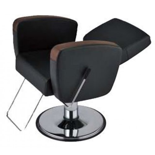 Takara Belmont AP-U11 Virtus All Purpose Reclining Styling Chair 