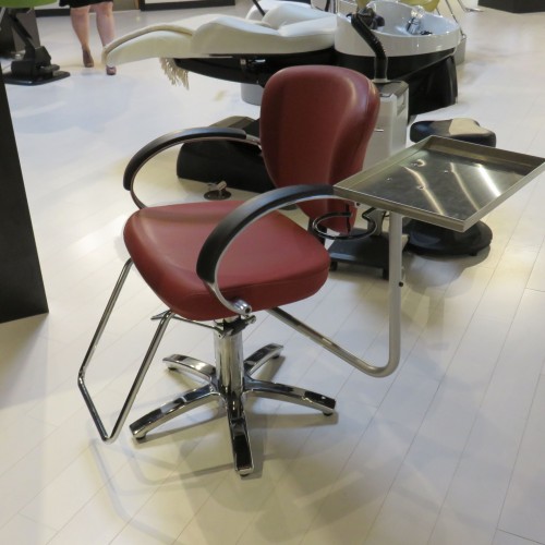 Assist A Tray Styling Chair Arm With Stainless Steel Tray Takara Belmont Model SR-AS21LD