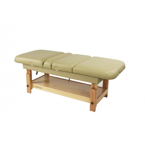 Multi Pro Massage Spa Treatment Table Back and Legs Lift For Massage Treatments 11540