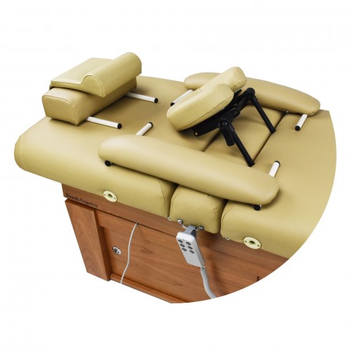 11650 Viola Power Tilt Massage Spa Treatment Table
