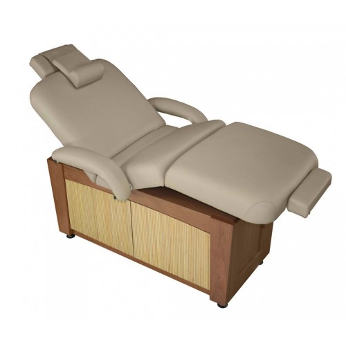 11650 Viola Power Tilt Massage Spa Treatment Table