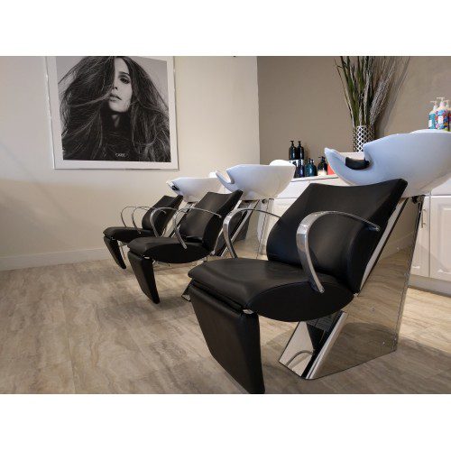 Showroom Model SH-505 Bahama Shampoo Backwash - Image 5