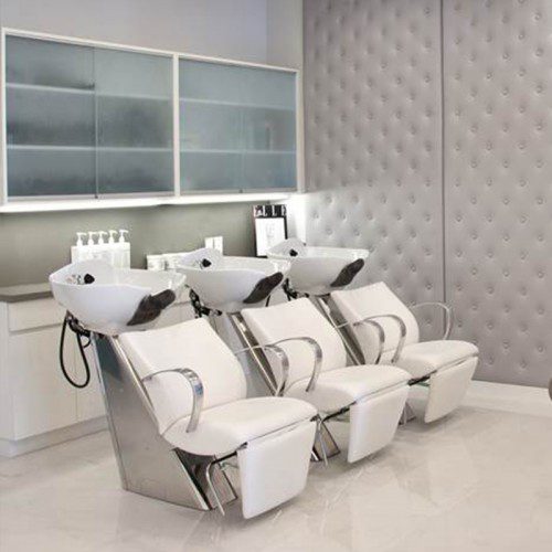 Showroom Model SH-505 Bahama Shampoo Backwash - Image 2