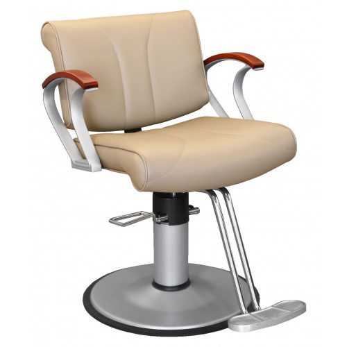 8101 Hair Styling Chair - Image 4