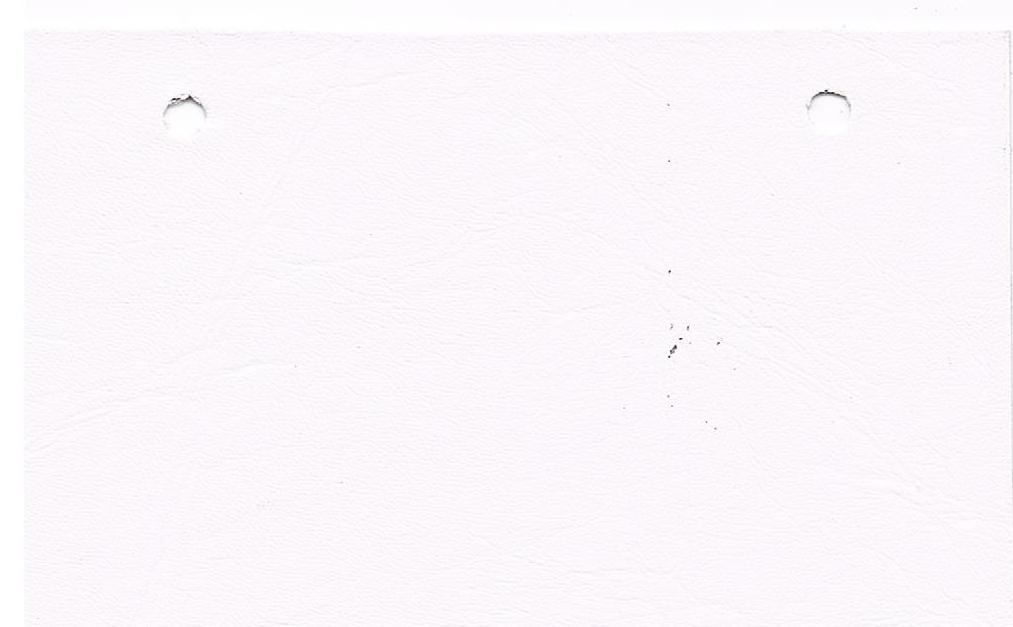 Special Order 8303 Hydraulic Barber Chair Removable Arms - Image 5