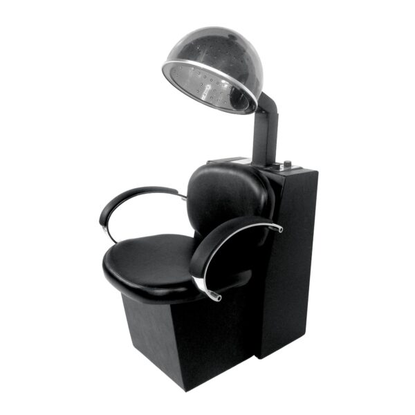 1320 Dryer Chair With Optional Hair Dryer