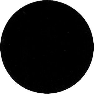 306 Black Bowl $0.00