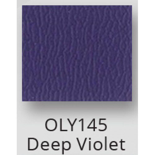 E2J Add On When Buying 2 Shampoo Units - Image 47