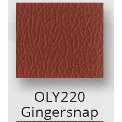 E2J Add On When Buying 2 Shampoo Units - Image 33