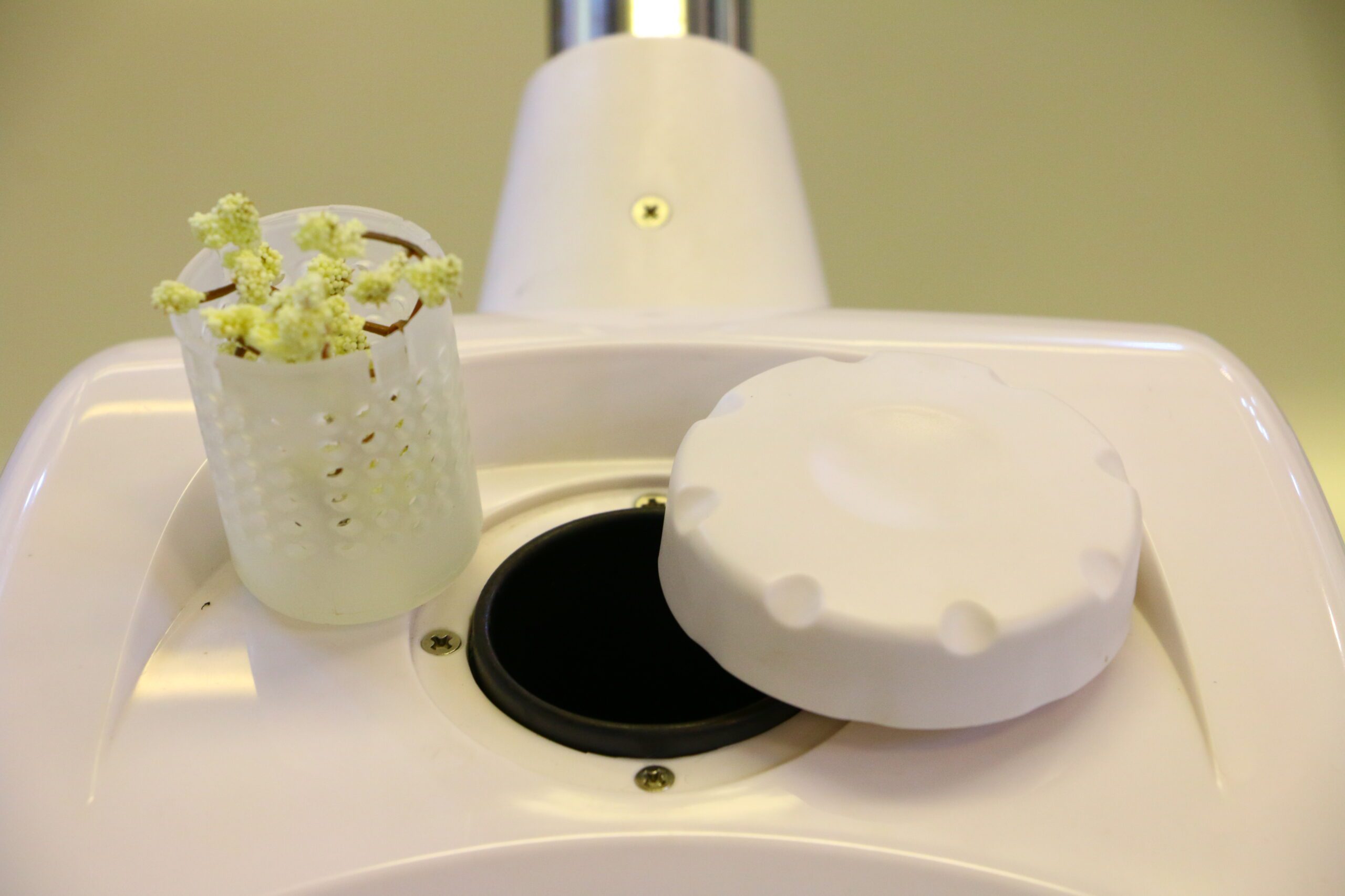 1101 Aromatherapy Facial Steamer (High Quality) - Image 4