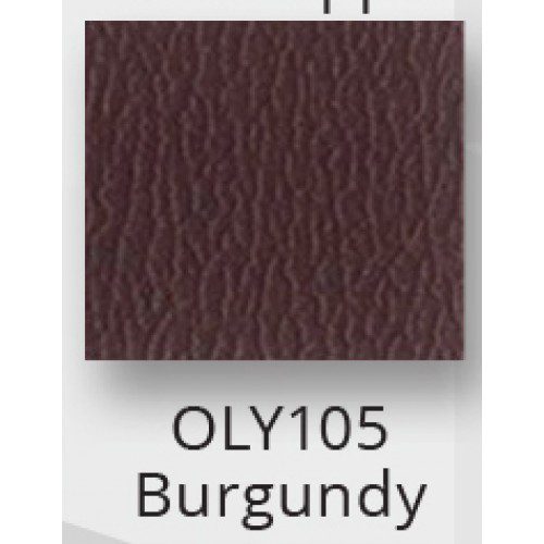 E2J Add On When Buying 2 Shampoo Units - Image 50