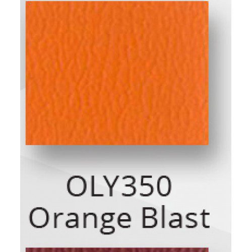 E2J Add On When Buying 2 Shampoo Units - Image 64