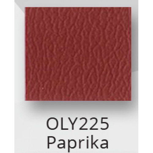 E2J Add On When Buying 2 Shampoo Units - Image 31