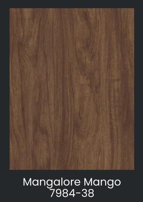 Collins 44AOS Sean Patrick Shuttle Sidewash Add On to 44SWS - Image 9