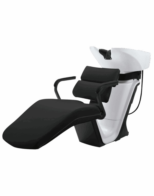 SH-620 RS Elite Backwash Simply The Best!