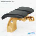 Upgraded Gold footrest +$189.00
