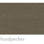 Upgrade Woodpecker +$980.00