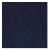 Burkshire Navy 38 $0.00