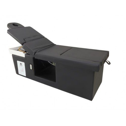 438B Shampoo Bowl, Hair Steamer, Light Therapy Plus Pedicure Tub - Image 4