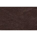 Dark Brown VT2 $0.00