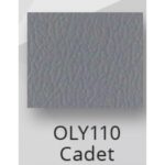 Cadet $0.00