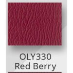 Red Berry $0.00