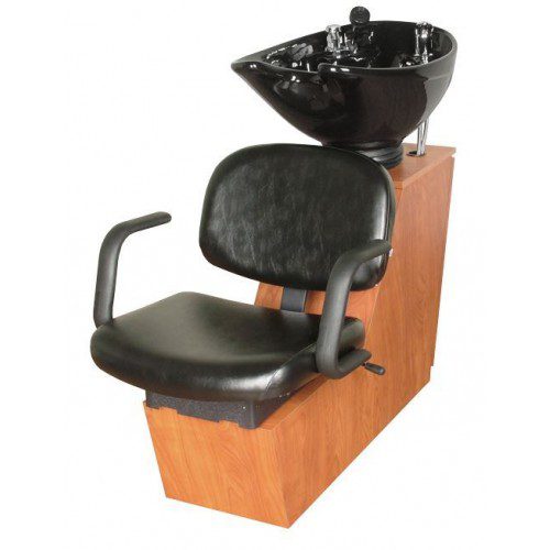 19BWS Backwash Shampoo Unit USA Made