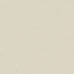 Beige Japanese Vinyl $0.00