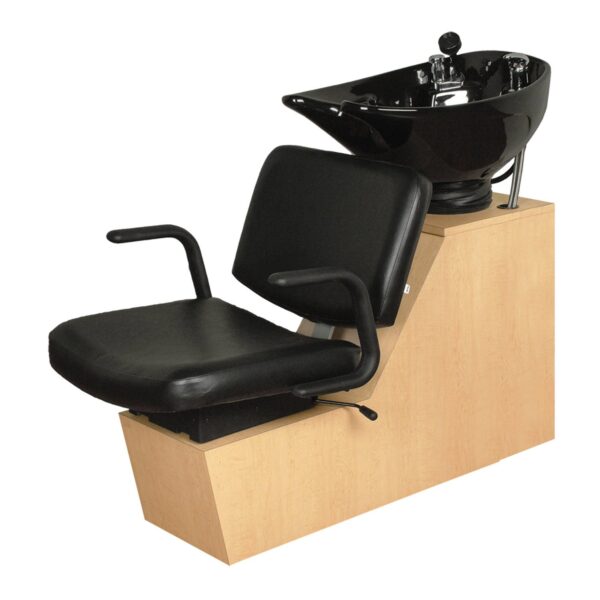 15BWS Backwash Shampoo Unit USA Made