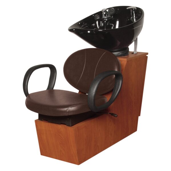 17AOS Add On Sidewash Shampoo Unit