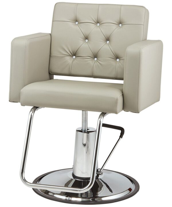 2206 Hair Styling Chair For Professionals Color Choice