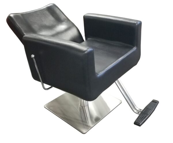 2214AP All Purpose Hair Styling Chair