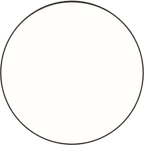 305 White Bowl $0.00