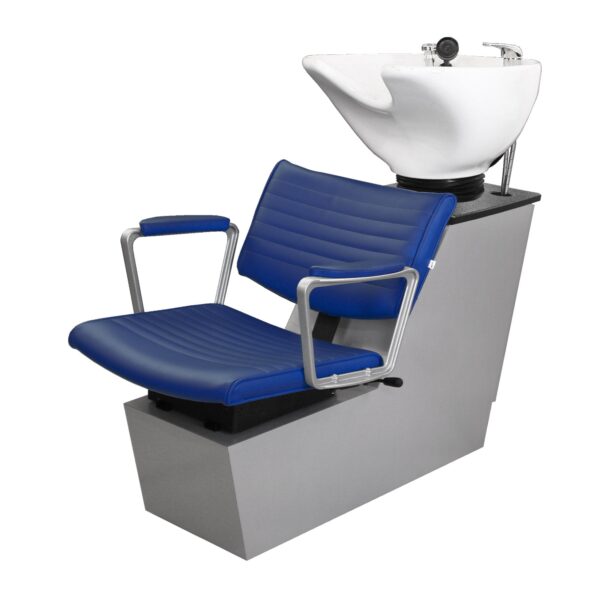 78AOS Add on Backwash When Buying 2 Unit