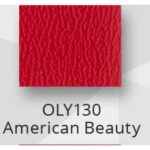 American Beauty $0.00