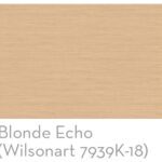 Blonde Echo Base