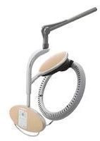 Champagne Gold Hair Processor $0.00