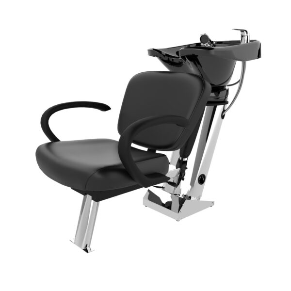 E1J Stainless Base Backwash Shampoo Unit