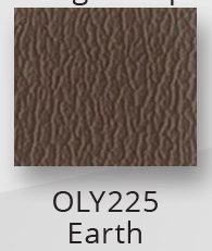 OLY225 Earth +$49.00