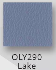OLY290 Lake +$49.00