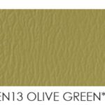 LEN13 Olive Green $0.00