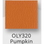 Pumpkin $0.00