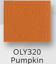 OLY320 Pumpkin +$49.00